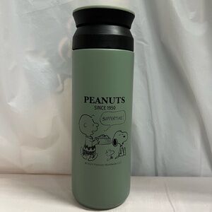 Snoopy & Charlie Brown Stainless Insulated Bottle